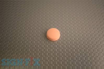 CACHE VIS PLASTIQUE Ø13MM ROSE ASH MAT