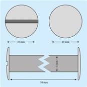 VIS RELIEUR COULEUR  LAITON Ø5 X50MM